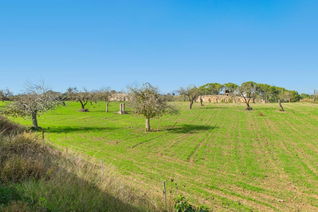 Son Vado By Mallorca Selection Ferienhaus